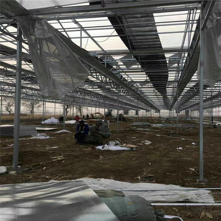 智能温室大棚 智能温室大棚建设