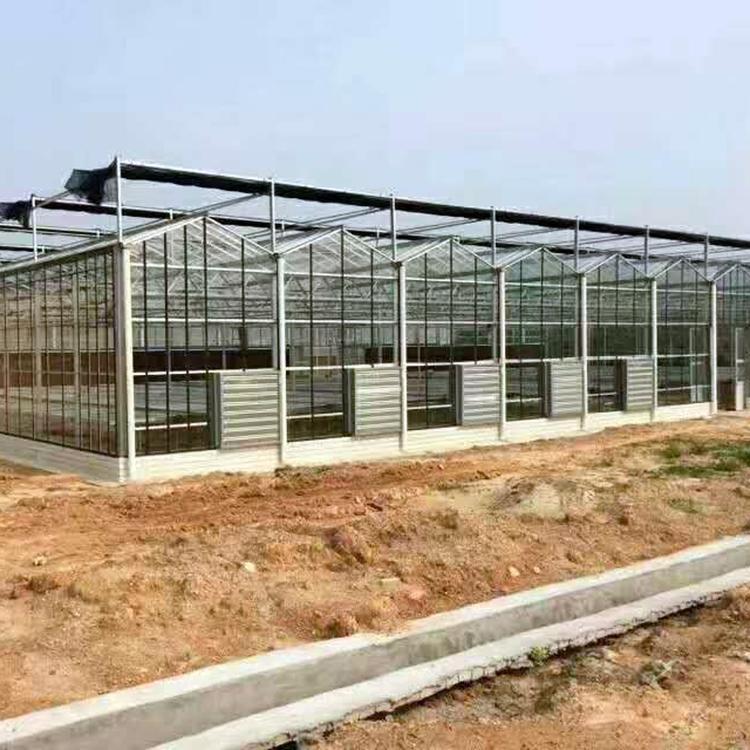 连栋大棚 采光大棚 玻璃温室造价 河北玻璃温室