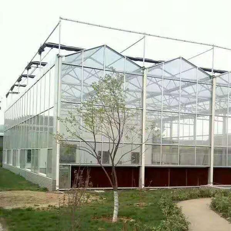 科研温室大棚 连栋温室大棚造价 河北连栋温室大棚