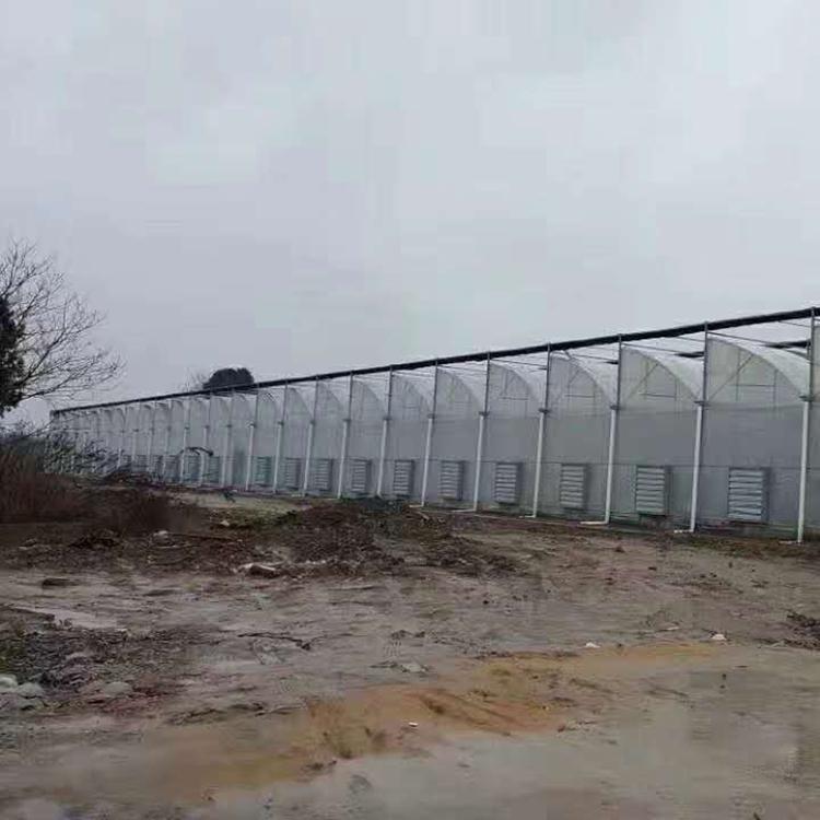 蔬菜大棚 育苗温室大棚 采光房建设 建设采光房