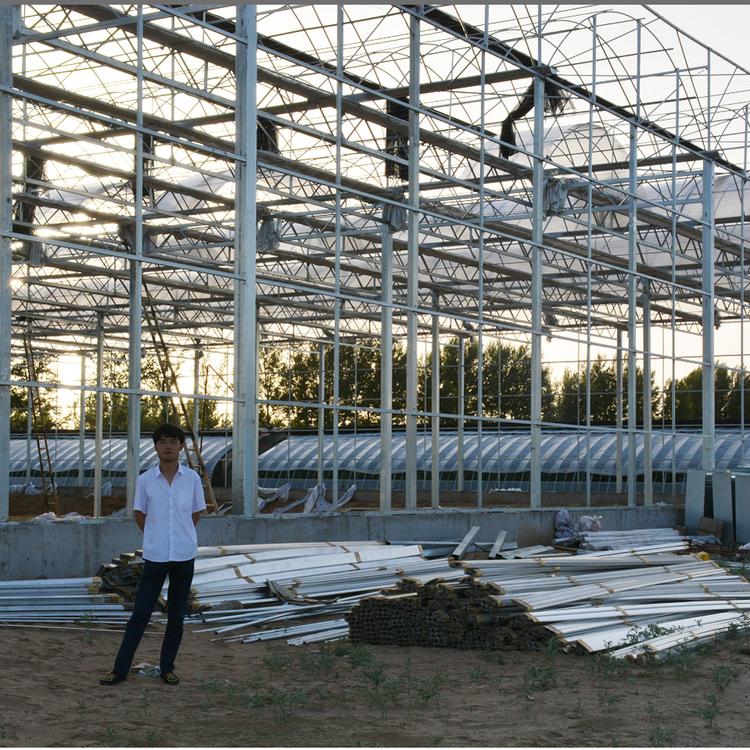 连栋温室大棚 育苗大棚 蔬菜大棚建设 承建蔬菜大棚