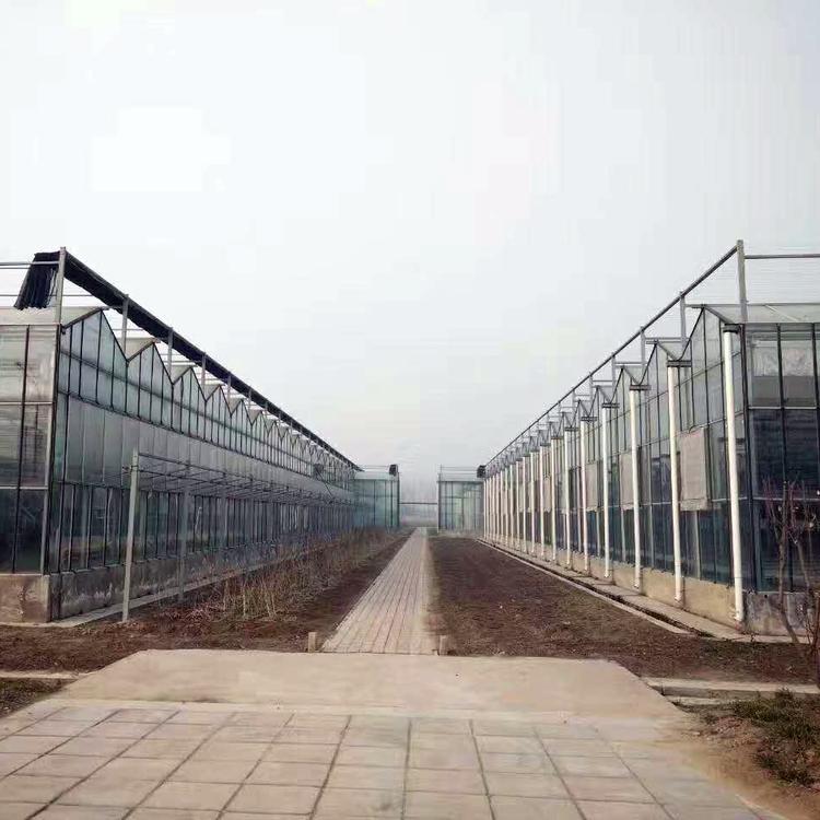 山东连栋温室 PC板温室价格
