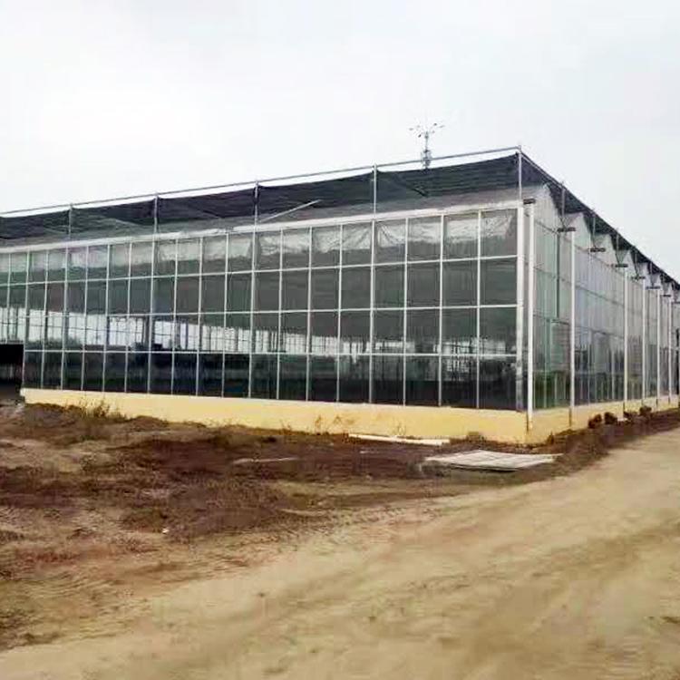 承建连栋温室大棚 阳光板温室工程