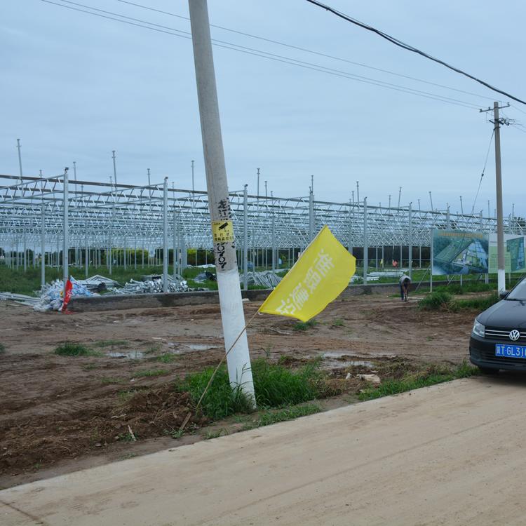 农业温室大棚 农业温室大棚建造公司 山东农业温室大棚