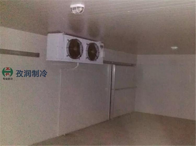 六安裕安微型冷库-移动冷库-微型保鲜冷库-组合式冷库