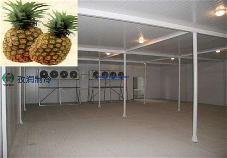 蚌埠农业冷库-农业项目补贴冷库-种植基地保鲜冷库-新型节能冷库