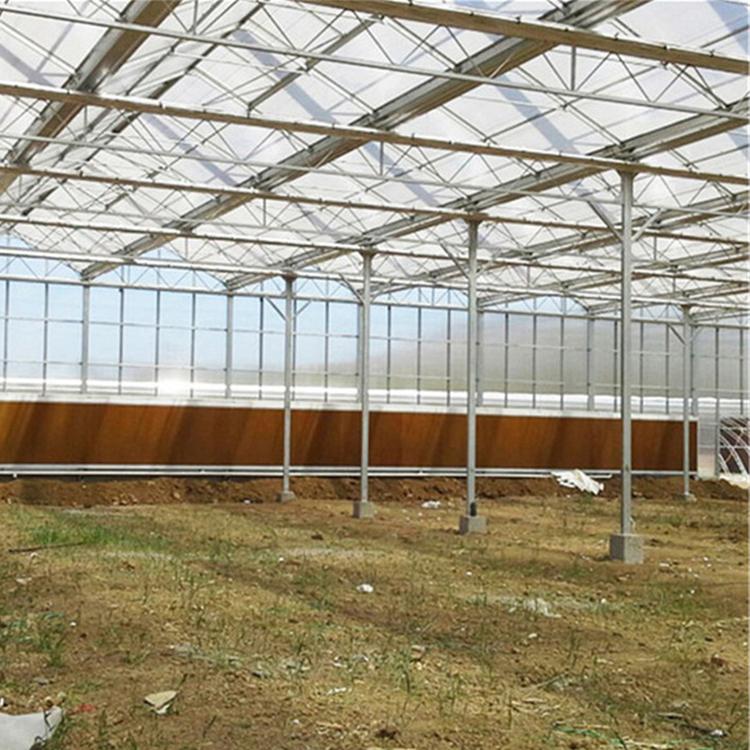 靠谱的 潍坊阳光板温室建造 PC阳光板大棚
