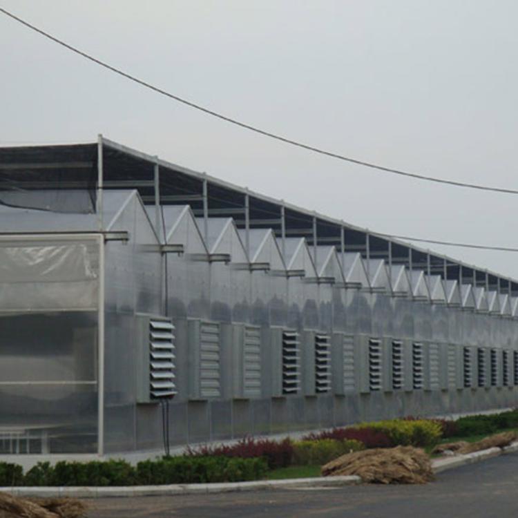 阳光板温室设计 山东阳光板温室设计 好的温室工程建造PC阳光板大棚