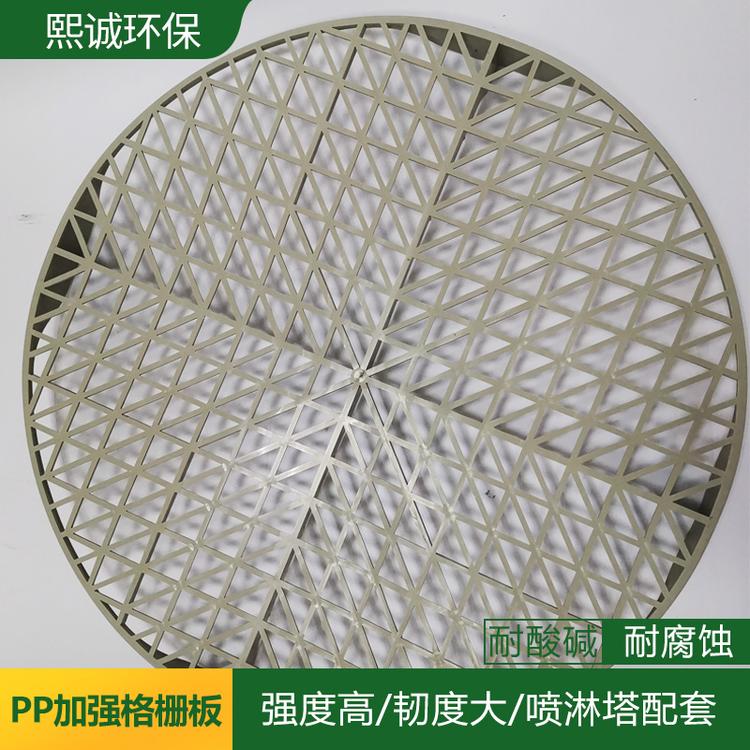 PP阻燃加强格栅 一体成型格栅板 一体加强网格板 塑料网格板 喷淋塔格栅板 洗涤塔支撑网板