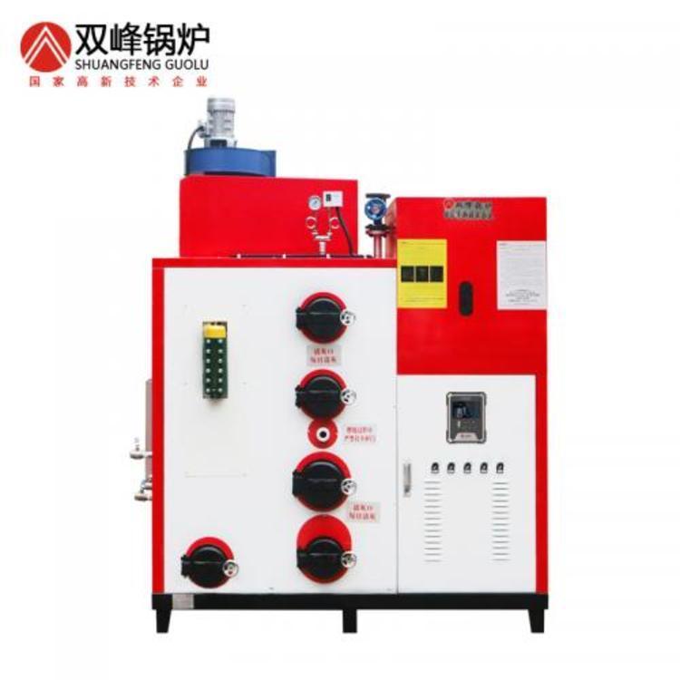 250公斤生物质蒸汽发生器