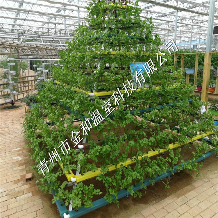 无土栽培 荷兰无土栽培技术 研发生产维护安装设计