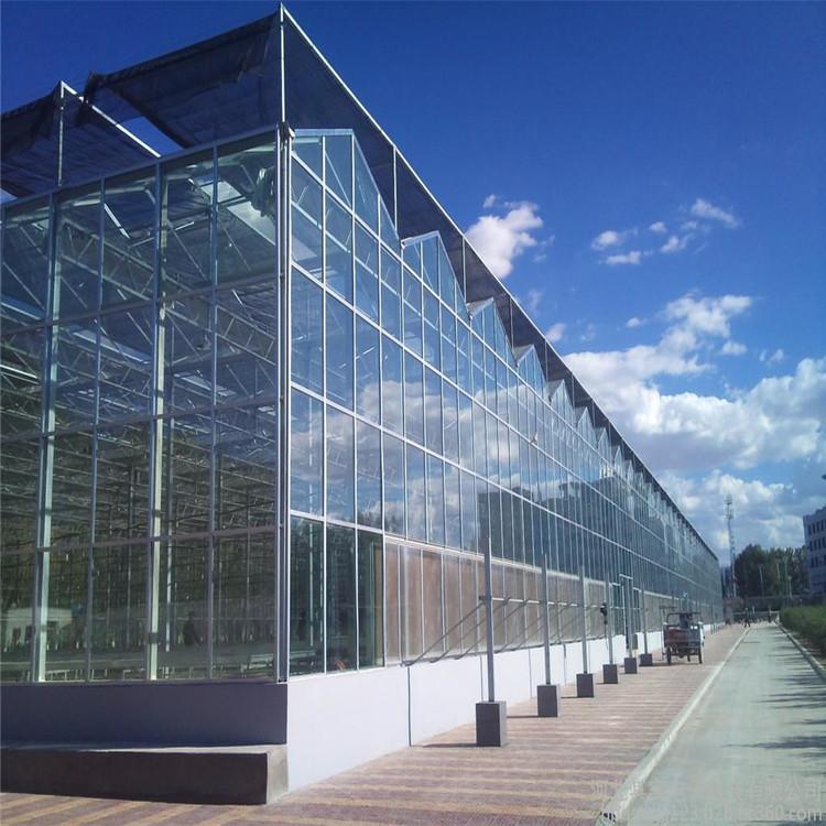 定制智能温室 鸿川温室工程 智能温室一体化