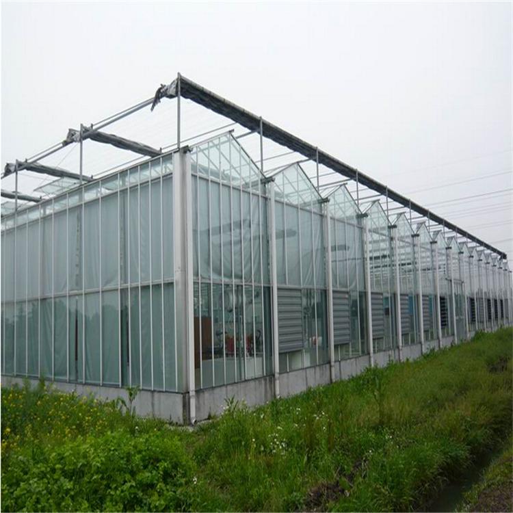 PC阳光板温室 温室工程建造 青州鸿川温室工程