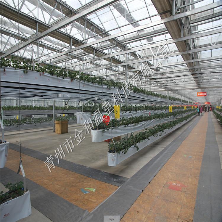 无土栽培施工 空中草莓建设 鱼菜共生设计 景观农业规划