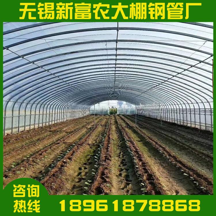 厂家直销双流农业连栋大棚热镀锌连栋大棚可配送薄膜塑料温室大棚