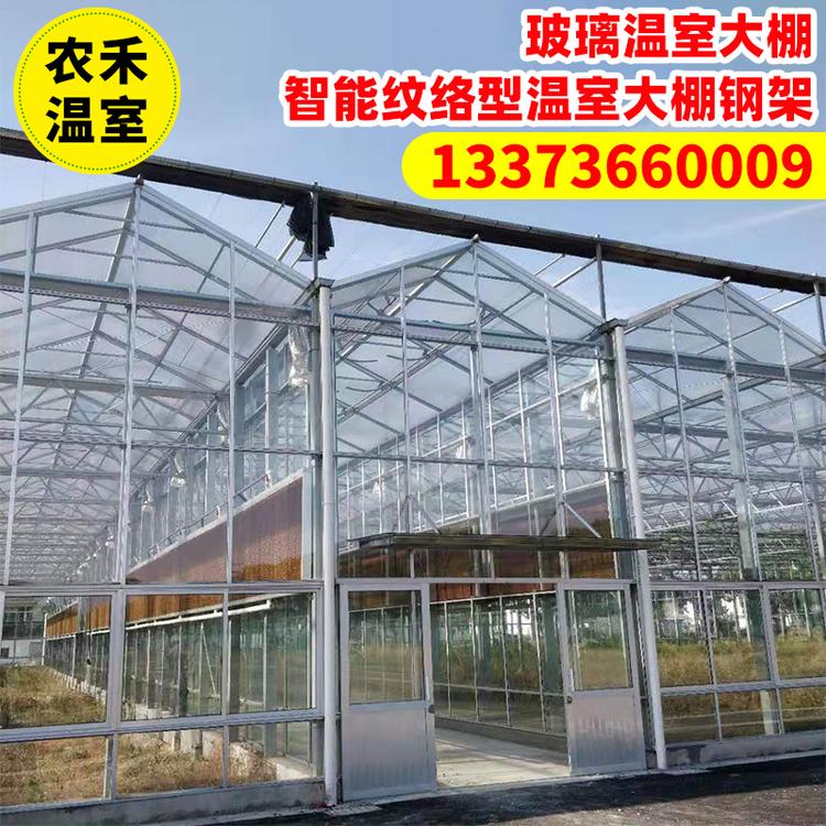 耐腐蚀抗压大棚骨架建设 蘑菇大棚造价 温室大棚骨架 镀锌管大棚