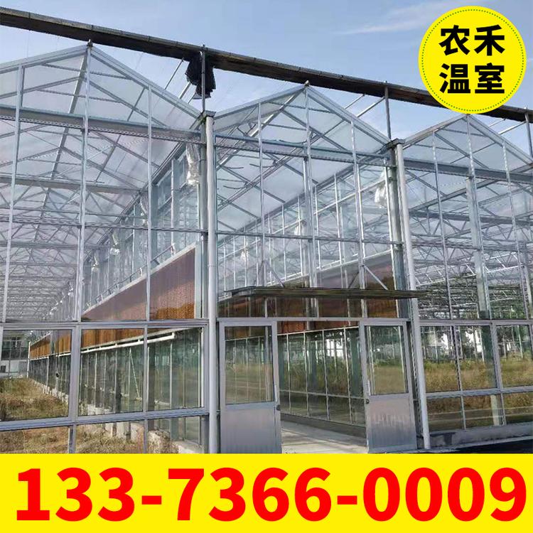 厂家热销 825镀锌钢管温室大棚 蔬菜大棚 农用保温抗风简易大棚