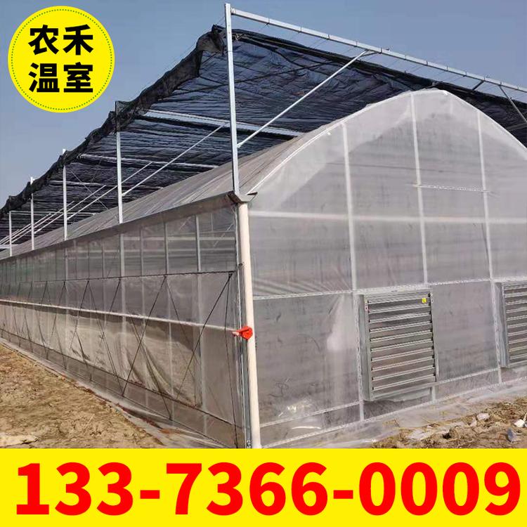 花卉育苗苗床  大棚自动喷灌机  智能温室大棚喷灌机 双轨自动喷灌机价格