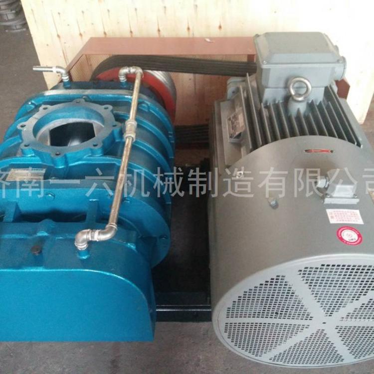 双油箱玻璃制品专用罗茨风机钢厂罗茨鼓风机沼气增压罗茨风机生产厂家