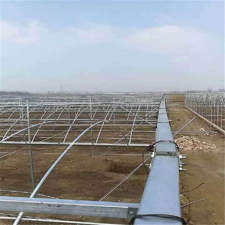 阳光板连栋温室 温室工程建造 青州阳光板连栋温室 连栋温室建造报价