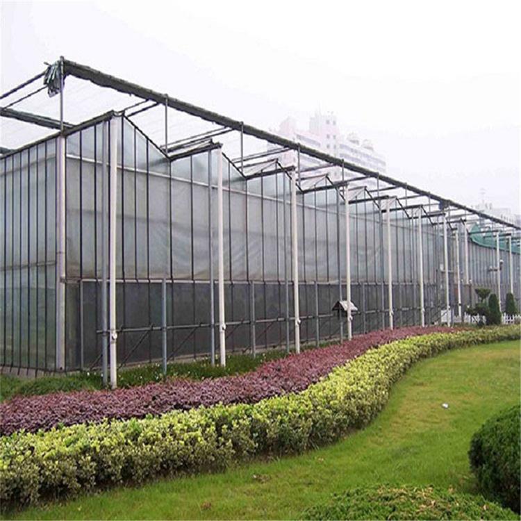 连栋温室建造报价 青州蔬菜连栋温室 品质保障蔬菜连栋温室