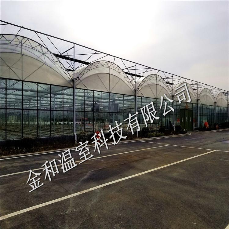 连体温室大棚设计建造    金和温室连体温室大棚承建