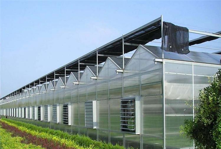 现代化智能连栋玻璃温室工程  玻璃温室大棚建设