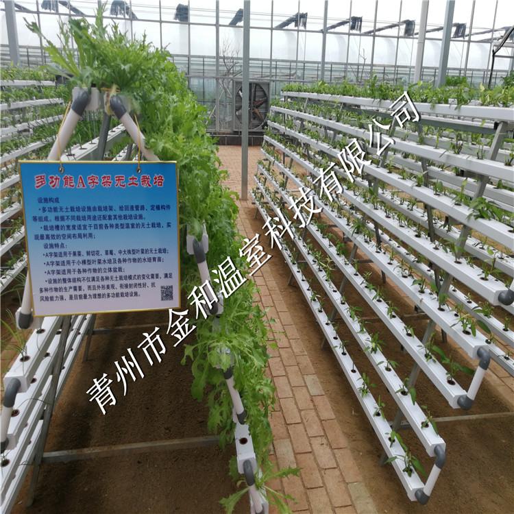 北京蔬菜无土栽培 荷兰进口多样式无土栽培 水培 基质培 气雾培