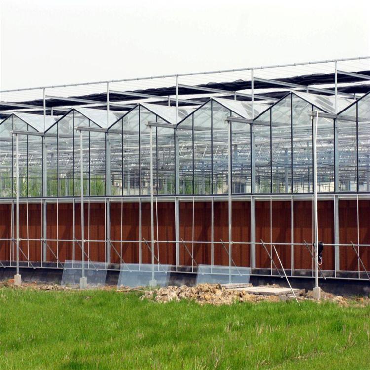 青州鸿川温室 玻璃温室承建 温室设计