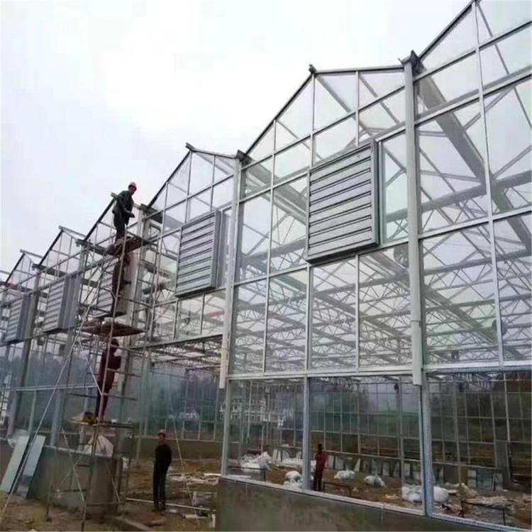 温室大棚的结构  甘肃温室大棚的结构  温室大棚的结构智能温室大棚温室工程厂家