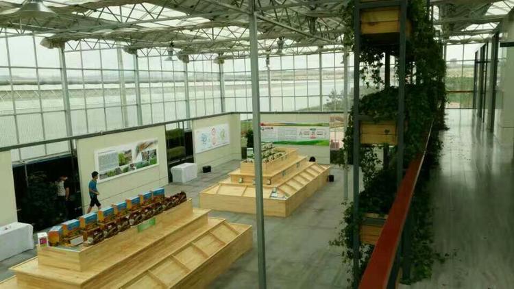玻璃温室  内蒙玻璃温室  玻璃温室温室生态餐厅温室工程公司