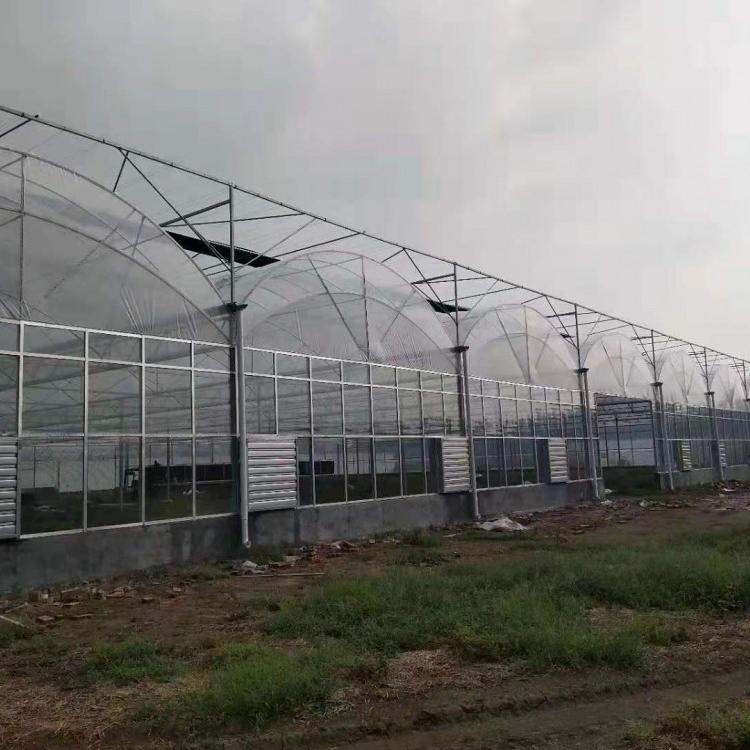 青州花卉薄膜温室图片