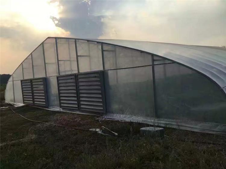 大棚通风风机 大棚通风风机供应商 河北大棚通风风机 欢迎咨询