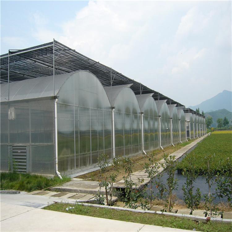 连栋薄膜温室大棚 温室大棚骨架 温室大棚建设