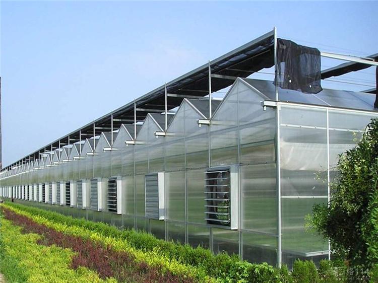 玻璃温室建设 玻璃温室厂家 山东省蔬菜温室厂家