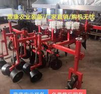 蔬菜移栽机找鼎康<em>农业</em>装备