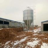 镀锌板料塔生产加工  料塔生产  定制生产养殖用料恒善畜牧设备