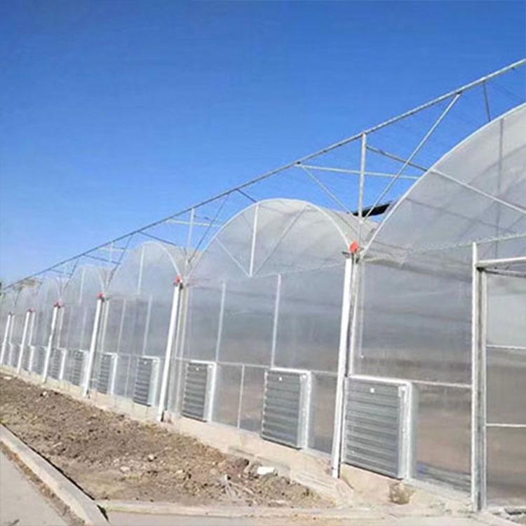 定制连栋温室养殖连体大棚建设 批发温室连体大棚  连体大棚骨架