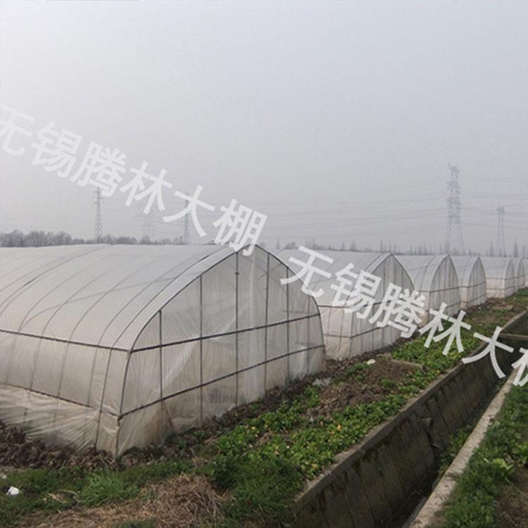 简易连栋薄膜大棚 塑料日光温室大棚 农用连栋薄膜温室大棚