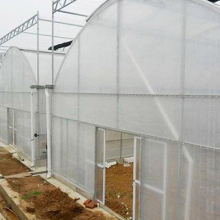 薄膜连栋温室 建设速度快薄膜连栋温室 山东薄膜连栋大棚建造