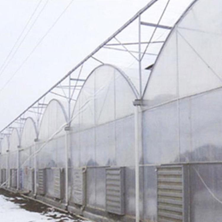 成铭建设速度快 连栋温室设计 山东薄膜连栋大棚建造