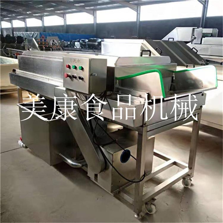 香菇清洗机 毛刷辊式菌类清洗专用设备 双孢菇清洗生产线 设备制造商