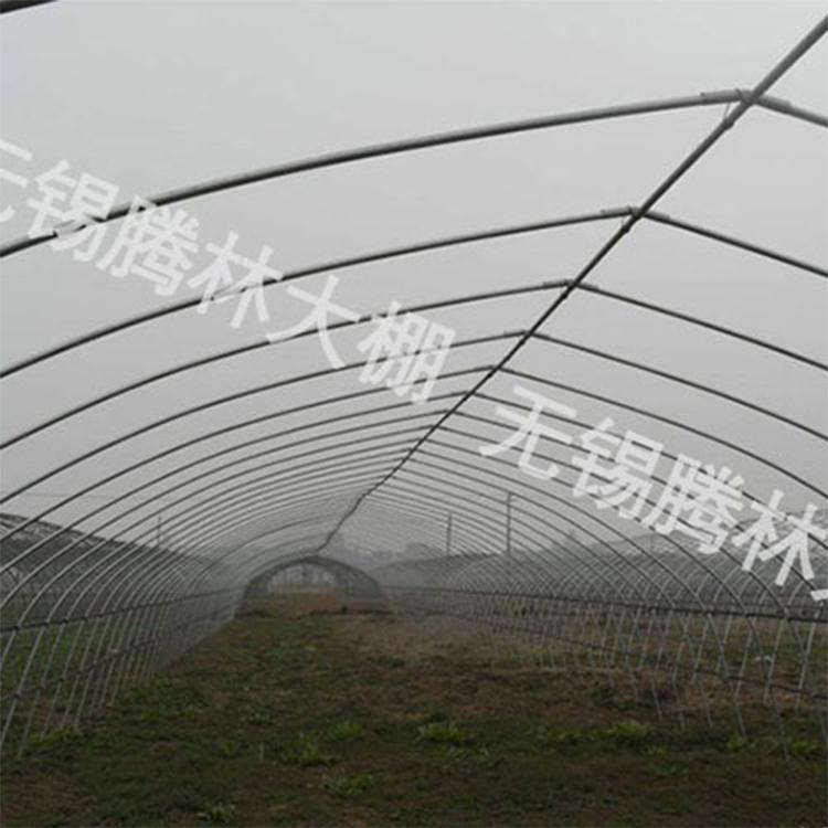 蔬菜种植大棚 单体温室热镀锌蔬菜大棚 建造温室大棚价格