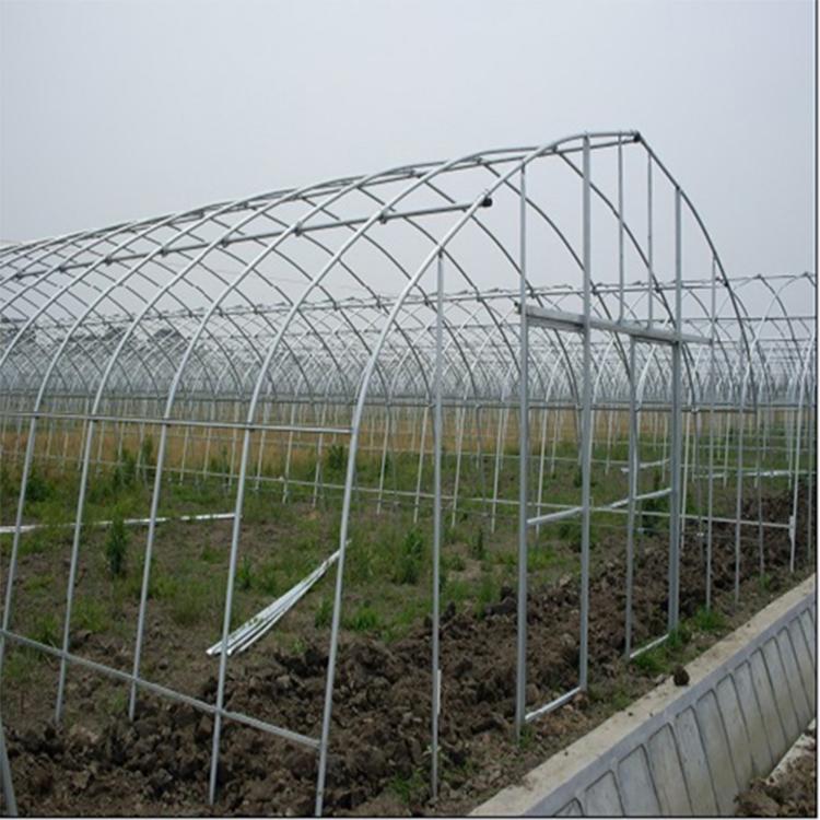 单体温室绿植大棚   建造玻璃日光温室大棚透明大棚