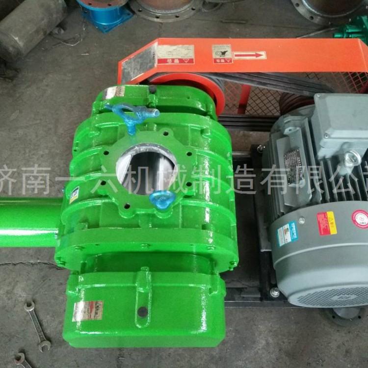 双油箱双极串联罗茨风机气力输送罗茨鼓风机煤气输送罗茨风机厂家