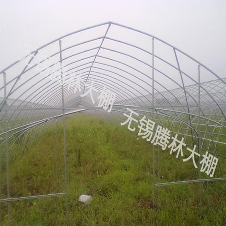 镀锌管大棚智能化大棚  建设温室单体大棚骨架的价格