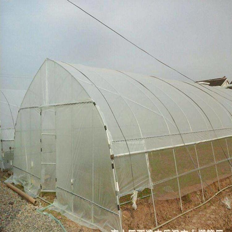 农业温室大棚 单体热镀锌蔬菜大棚建设温室大棚工程