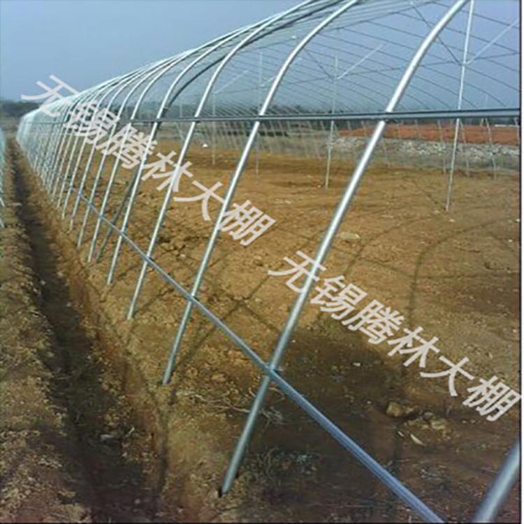 养殖大棚骨架建造  热镀锌多肉大棚骨架价格