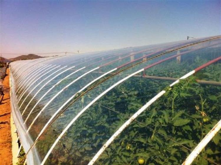温室大棚膜 po膜价格 大量供应PO膜厂家