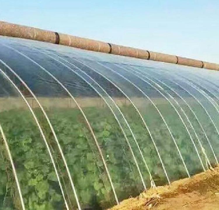 PO大棚膜 po膜批发商 山东PO膜生产商
